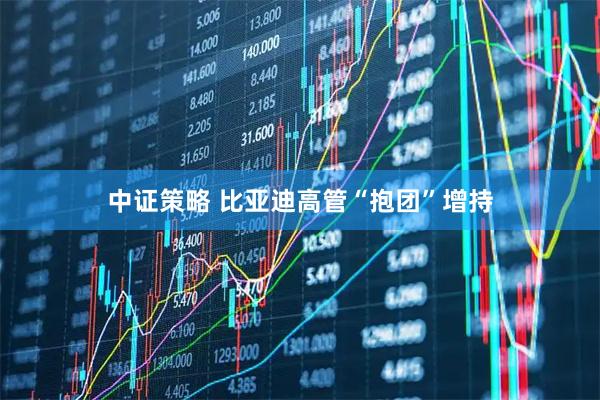 中证策略 比亚迪高管“抱团”增持