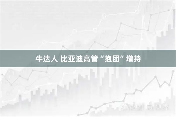 牛达人 比亚迪高管“抱团”增持